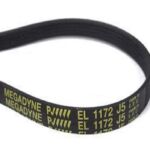 CORREA 5PJ-1172 DREAN EXCELLENT 166 LEGITIMA