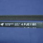 CORREA 4PJ-1181 DREAN LEGITIMA